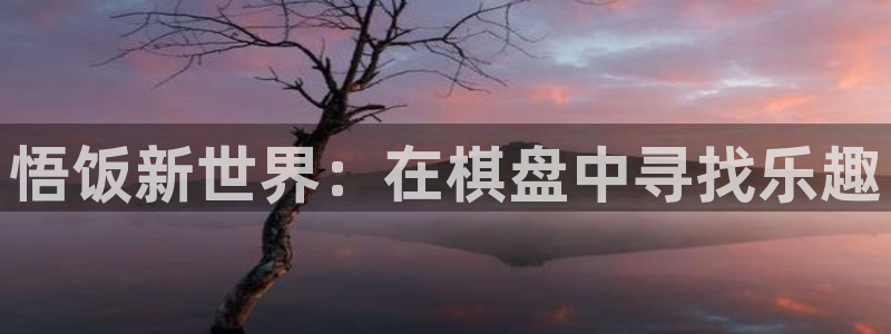 沐鸣网页版地址：悟饭新世界：在棋盘中寻找乐趣