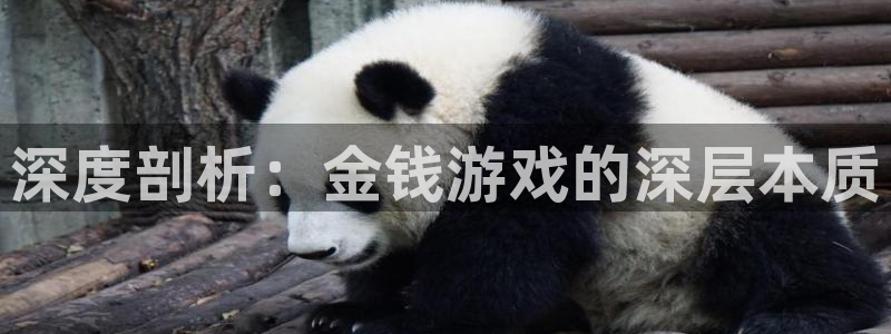 沐鸣官方登录网址