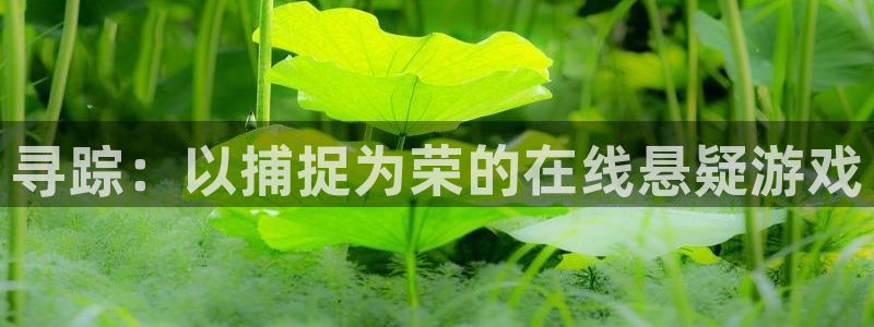 沐鸣娱乐合法吗