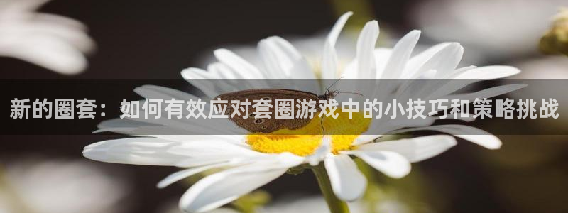 沐鸣在线登录官网