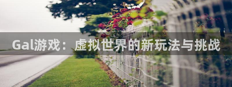 沐鸣代理登陆：Gal游戏：虚拟世界的新玩法与挑战