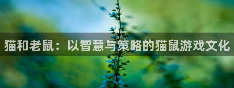 沐鸣下载链接：猫和老鼠：以智慧与策略的猫鼠游戏文化