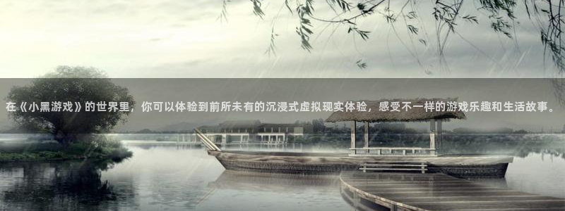 沐鸣平台官网登录：在《小黑游戏》的世界里，你可以体验到前所未