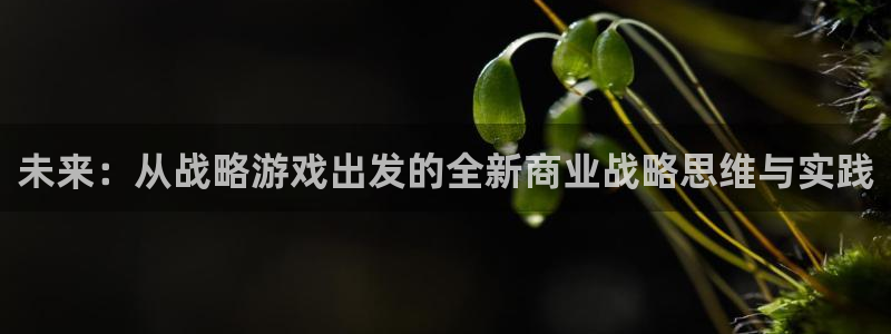 沐鸣娱乐登录地址是什么：未来：从战略游戏出发的全新商业战略思