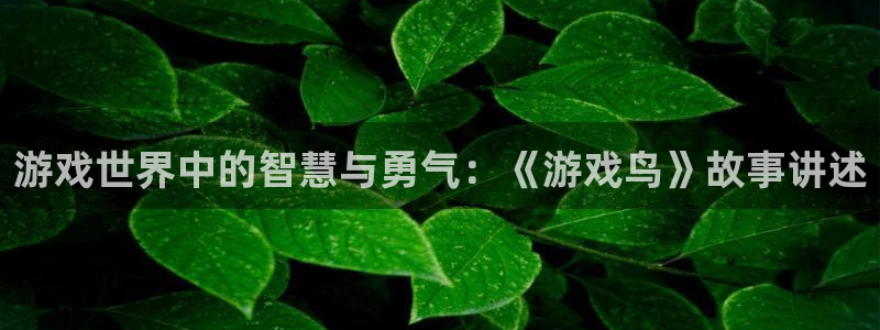 沐鸣代理