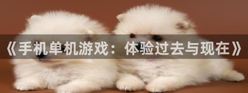 沐鸣：《手机单机游戏：体验过去与现在》