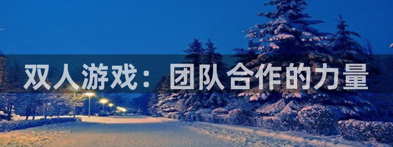沐鸣娱乐测速：双人游戏：团队合作的力量