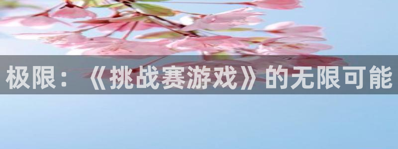 沐鸣总代理：极限：《挑战赛游戏》的无限可能
